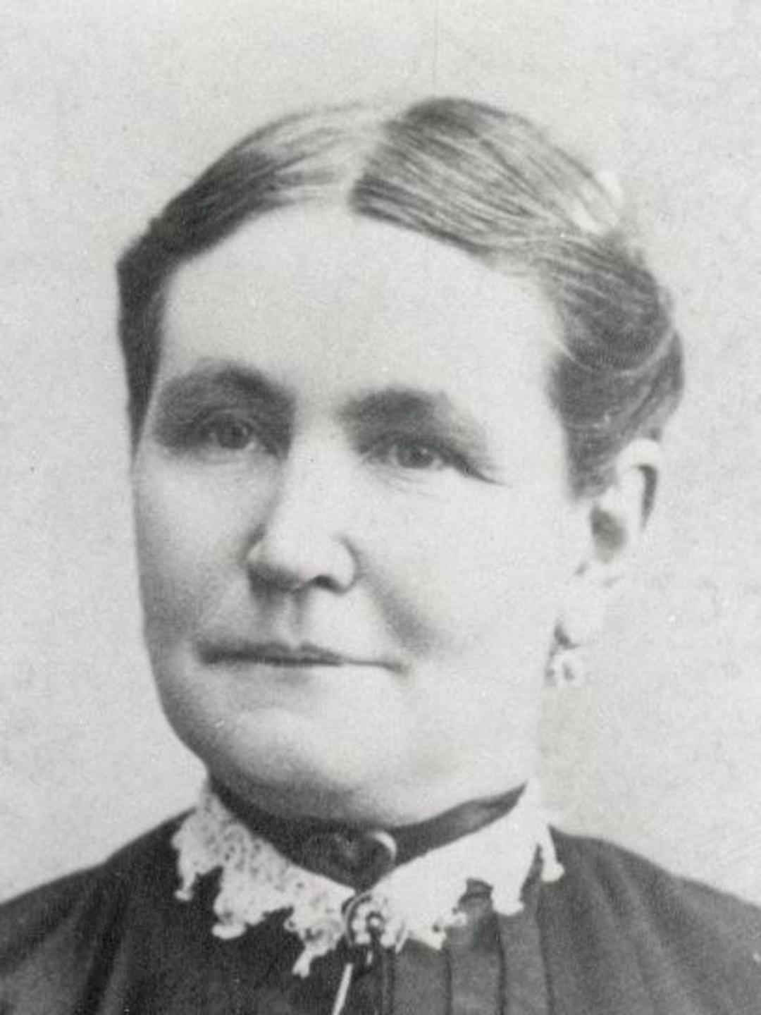 Phoebe Perry Vincent (1840 - 1900) Profile